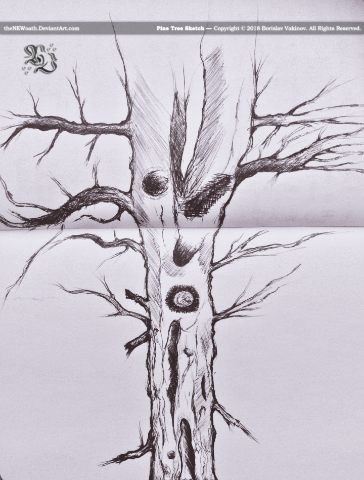 pine_tree_sketch_by_thenewoath-dcepwrv